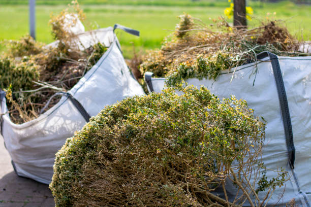 Best Household Junk Removal  in Las Campanas, NM